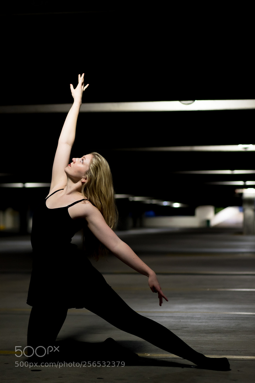 Nikon D750 sample photo. Just dance photography