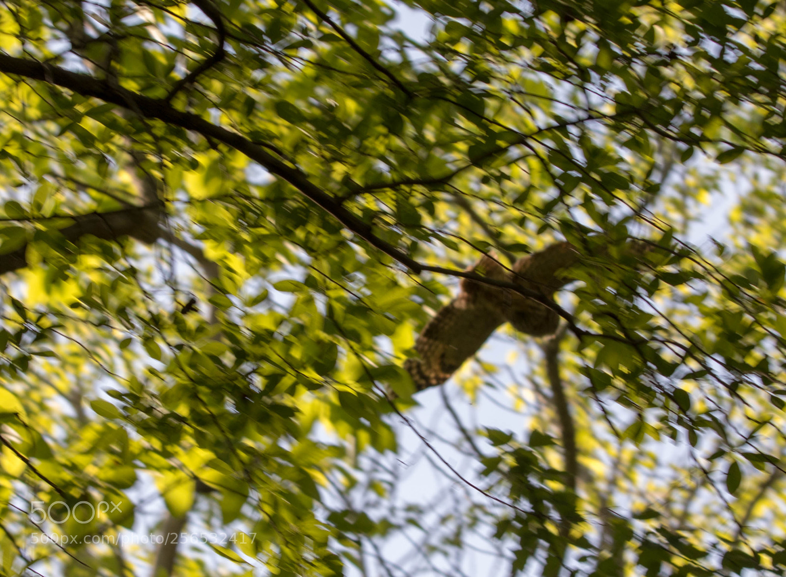Canon EOS 5D Mark IV sample photo. _a8a6347.jpg photography
