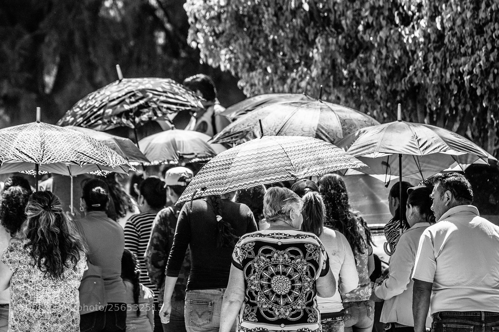 Nikon D5500 sample photo. Procesión photography