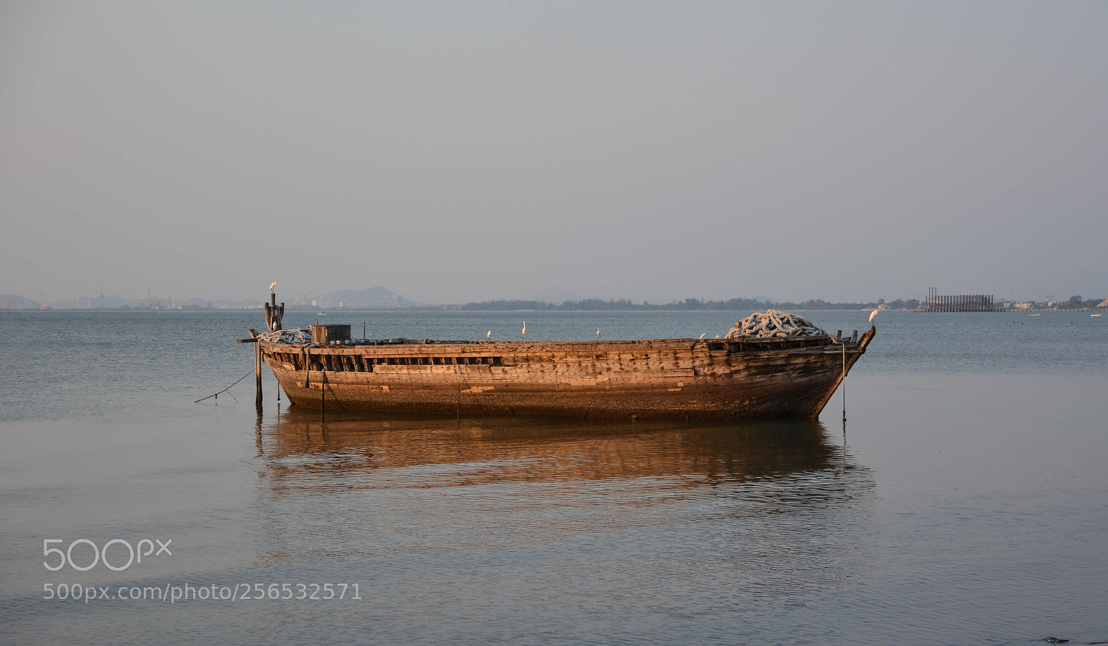 Nikon D7100 sample photo. Untitled photography