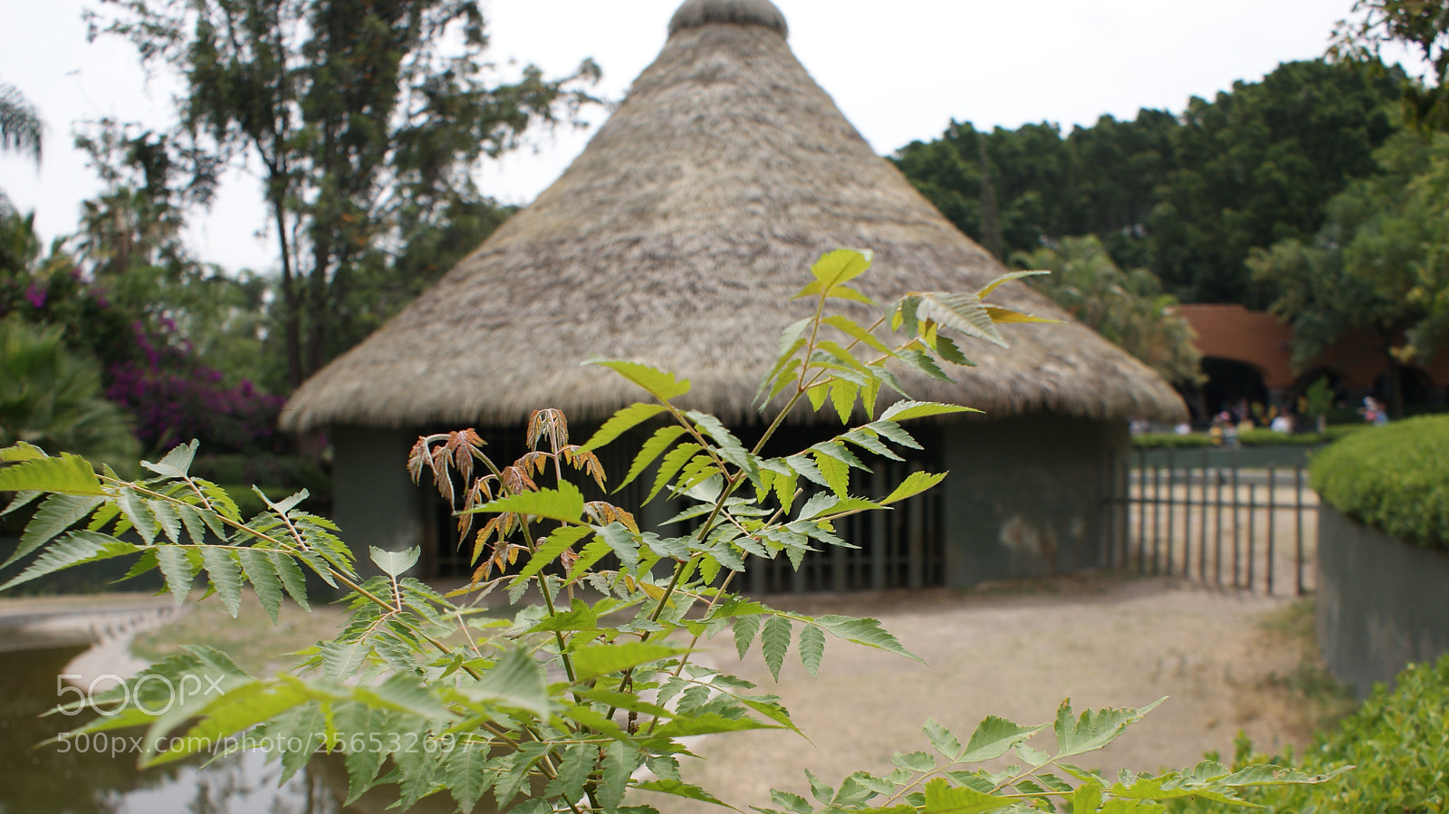 Sony DT 18-70mm F3.5-5.6 sample photo. Algún hogar photography