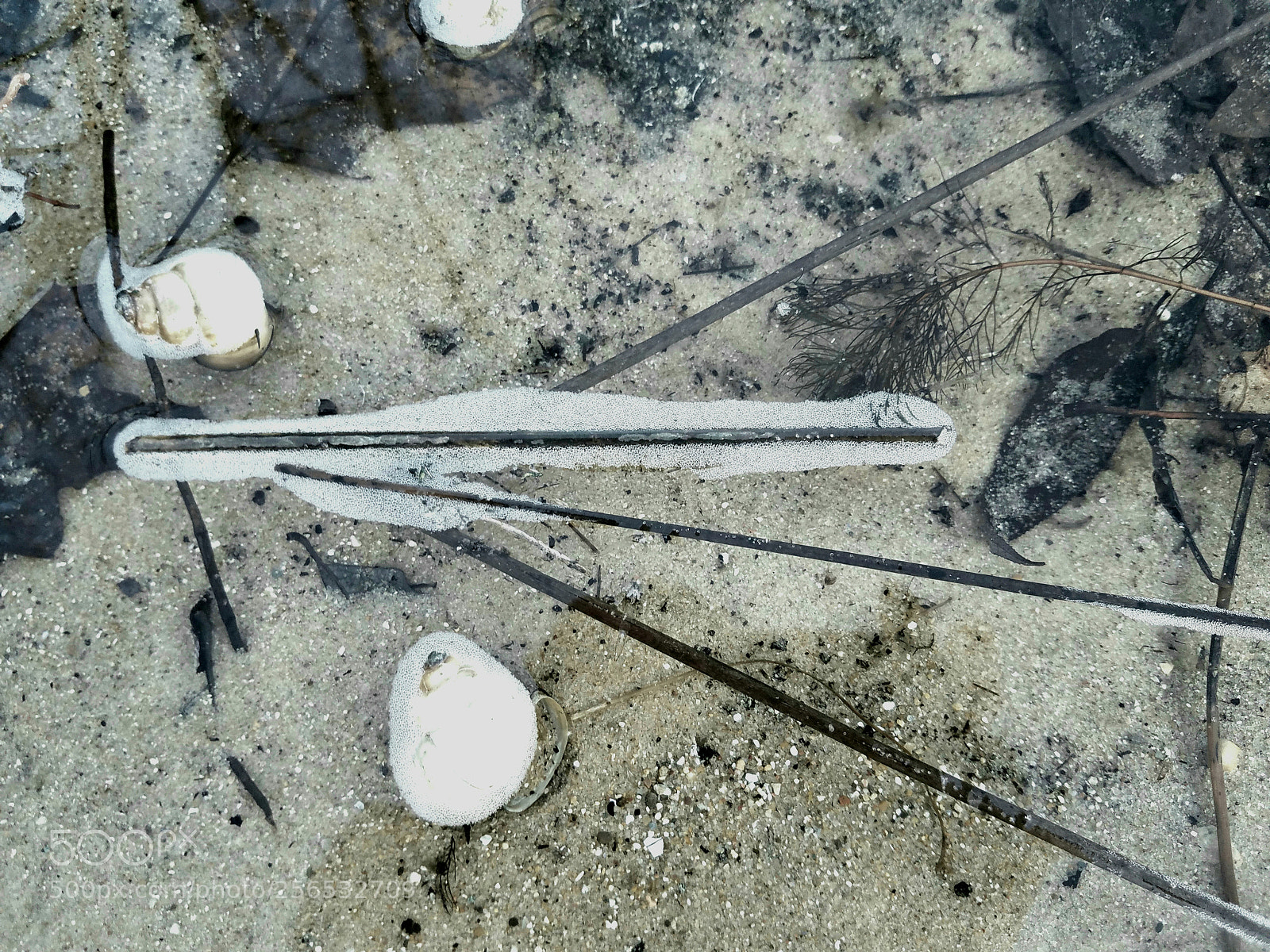 Samsung Galaxy S7 Edge sample photo. Spirals and sand photography