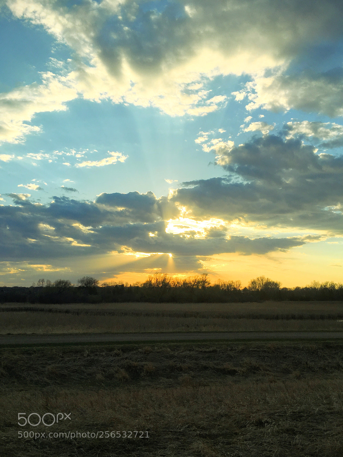 Apple iPhone SE sample photo. Late afternoon photography