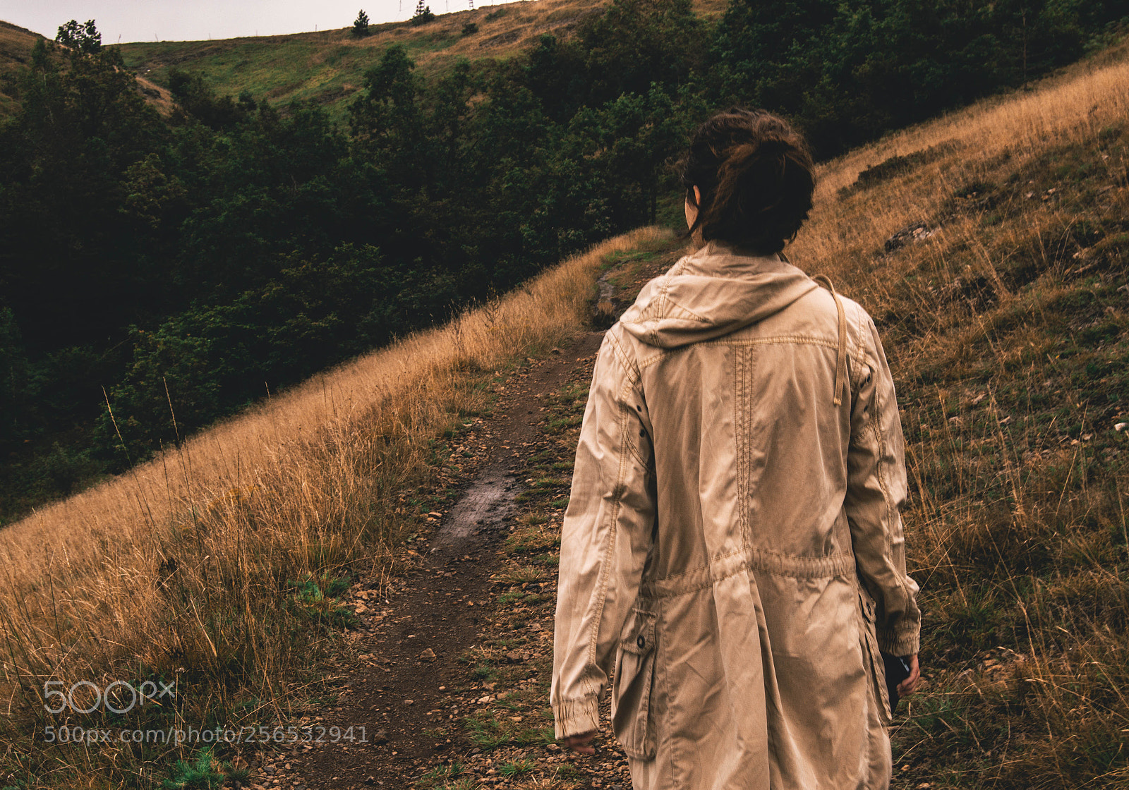 Nikon D3200 sample photo. Walking photography