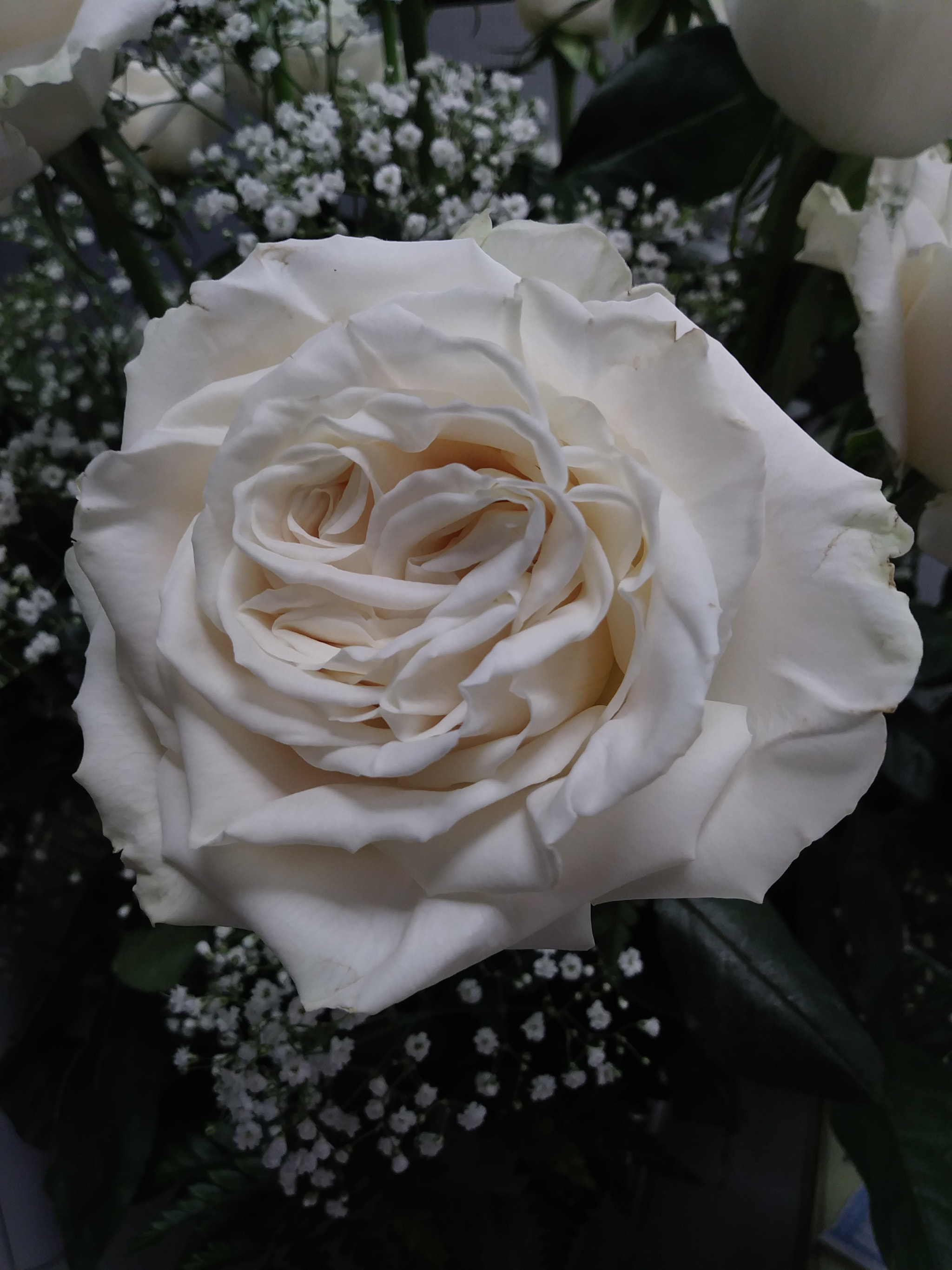 LG K20 PLUS sample photo
