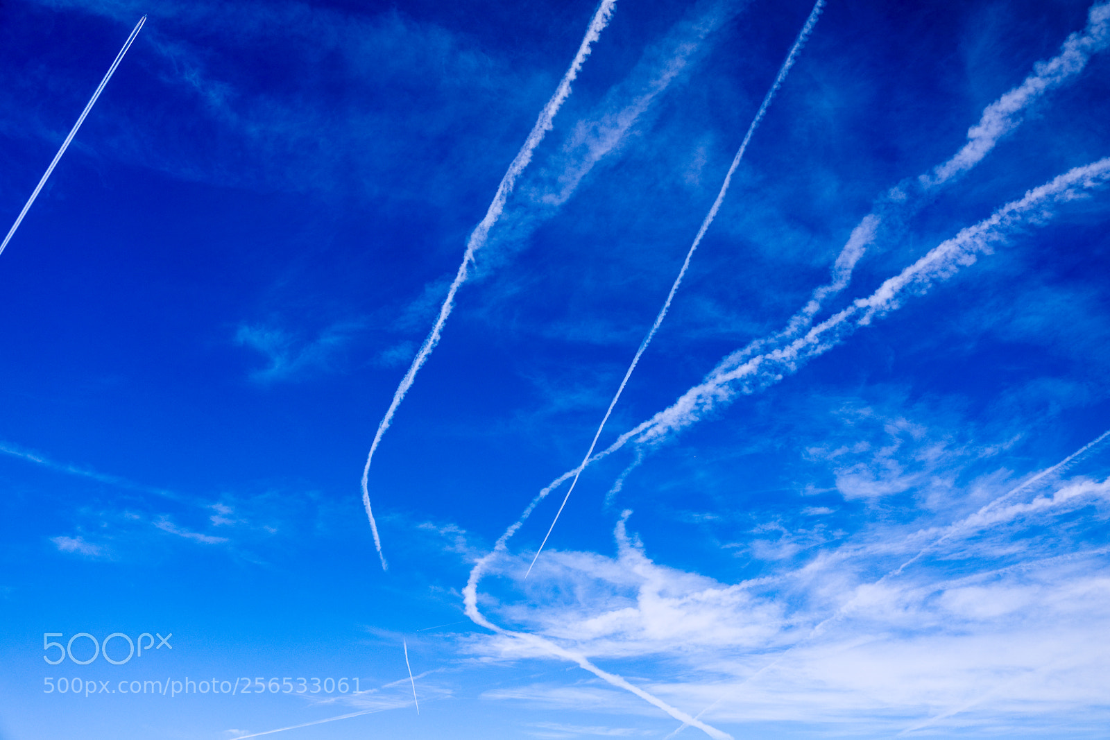 Canon EOS 5D Mark IV sample photo. Untitled photography