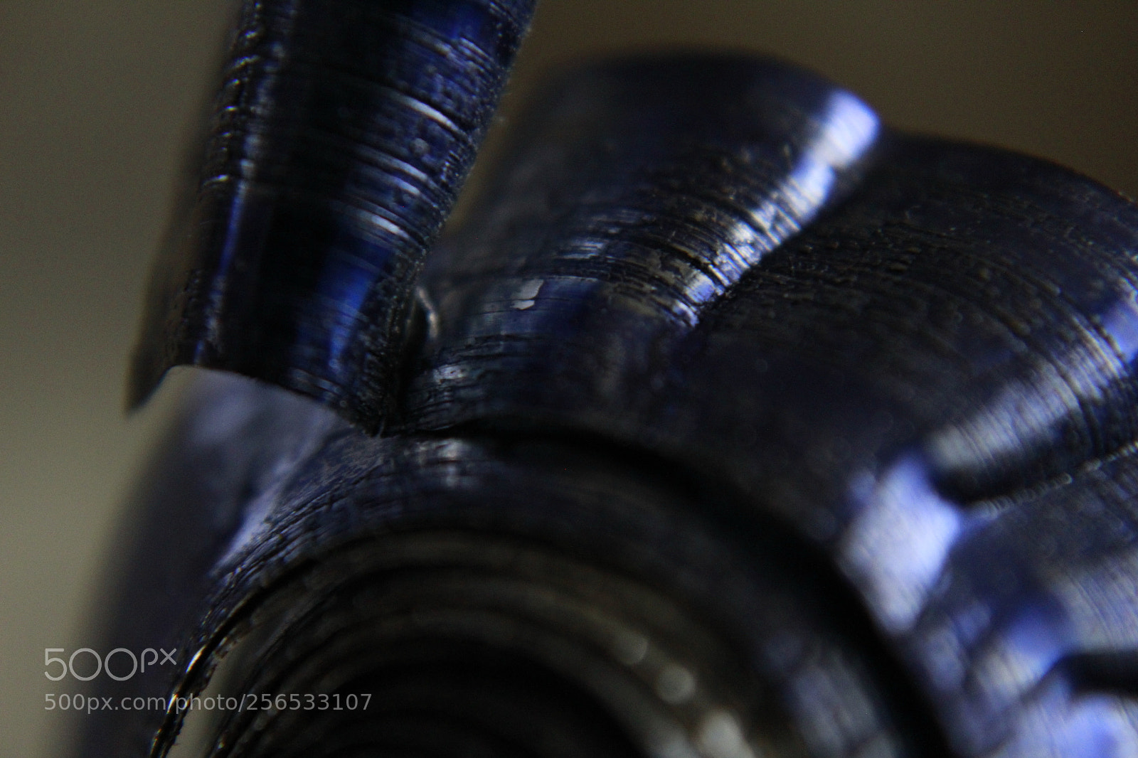 Canon EOS 1200D (EOS Rebel T5 / EOS Kiss X70 / EOS Hi) sample photo. Blued photography