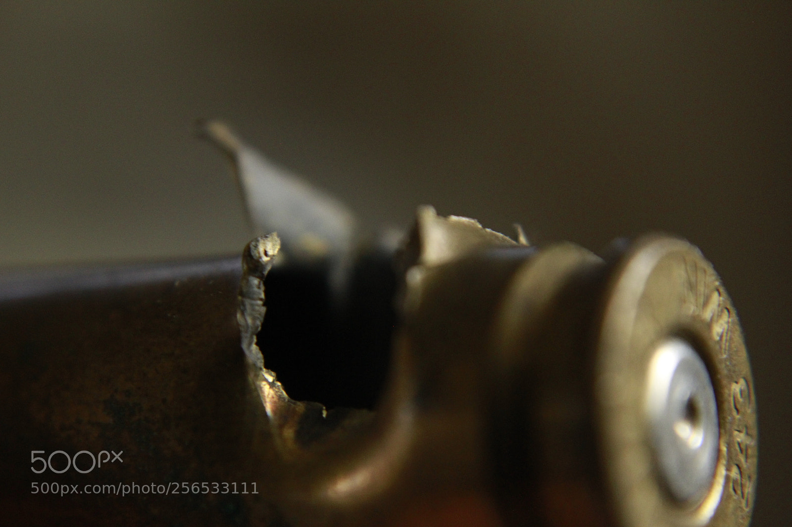 Canon EOS 1200D (EOS Rebel T5 / EOS Kiss X70 / EOS Hi) sample photo. .243 photography