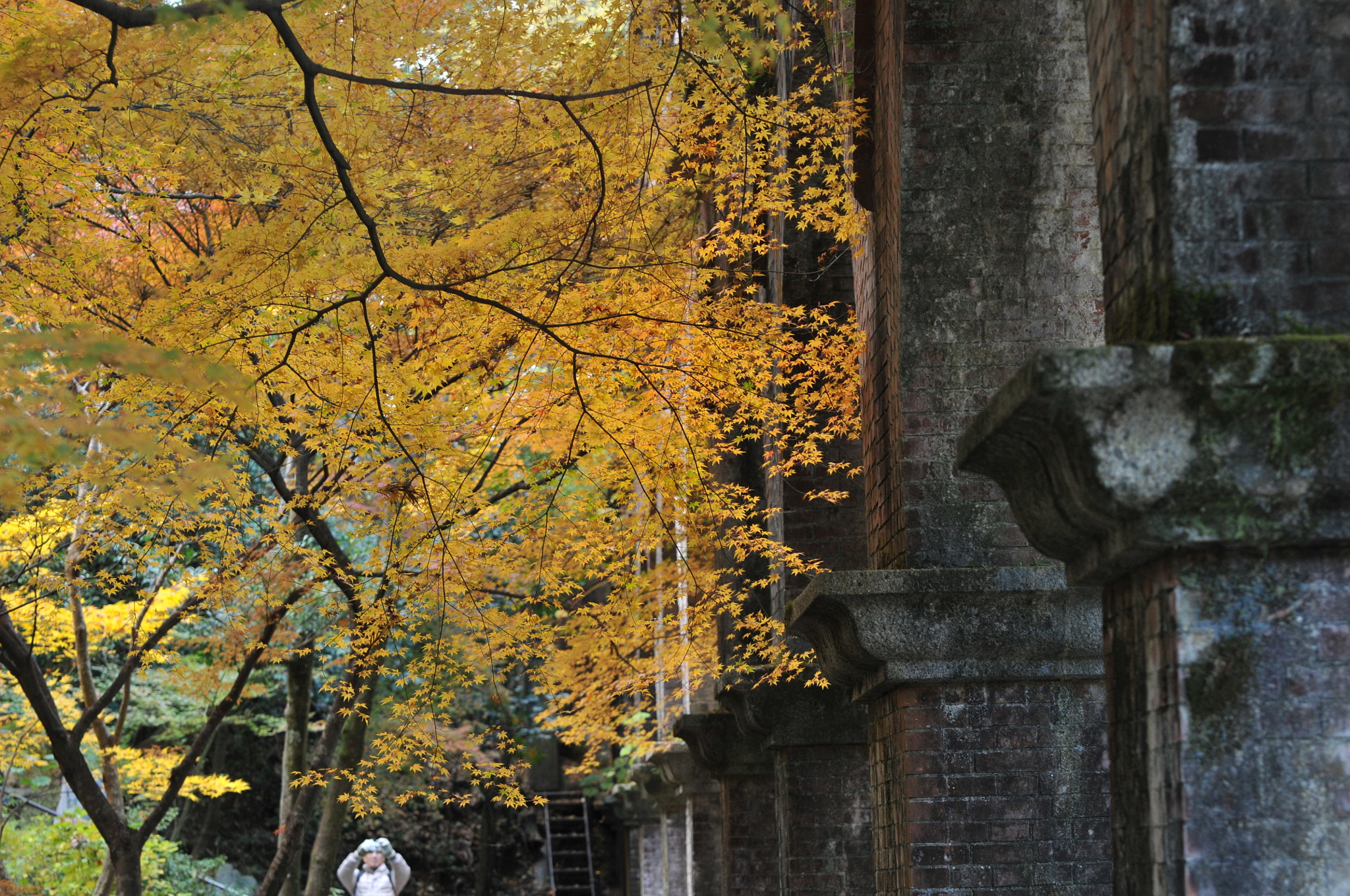 Nikon D300 sample photo