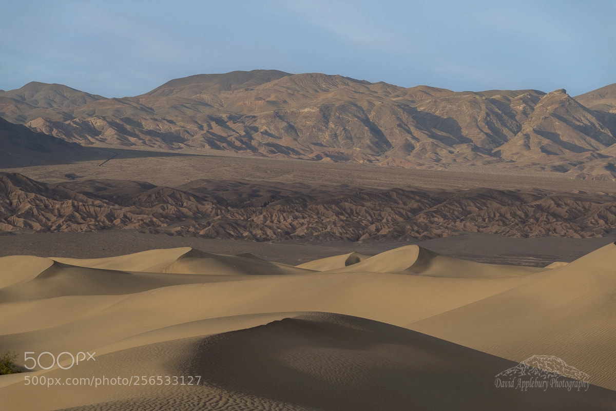 Nikon D800 sample photo. Desert sands photography