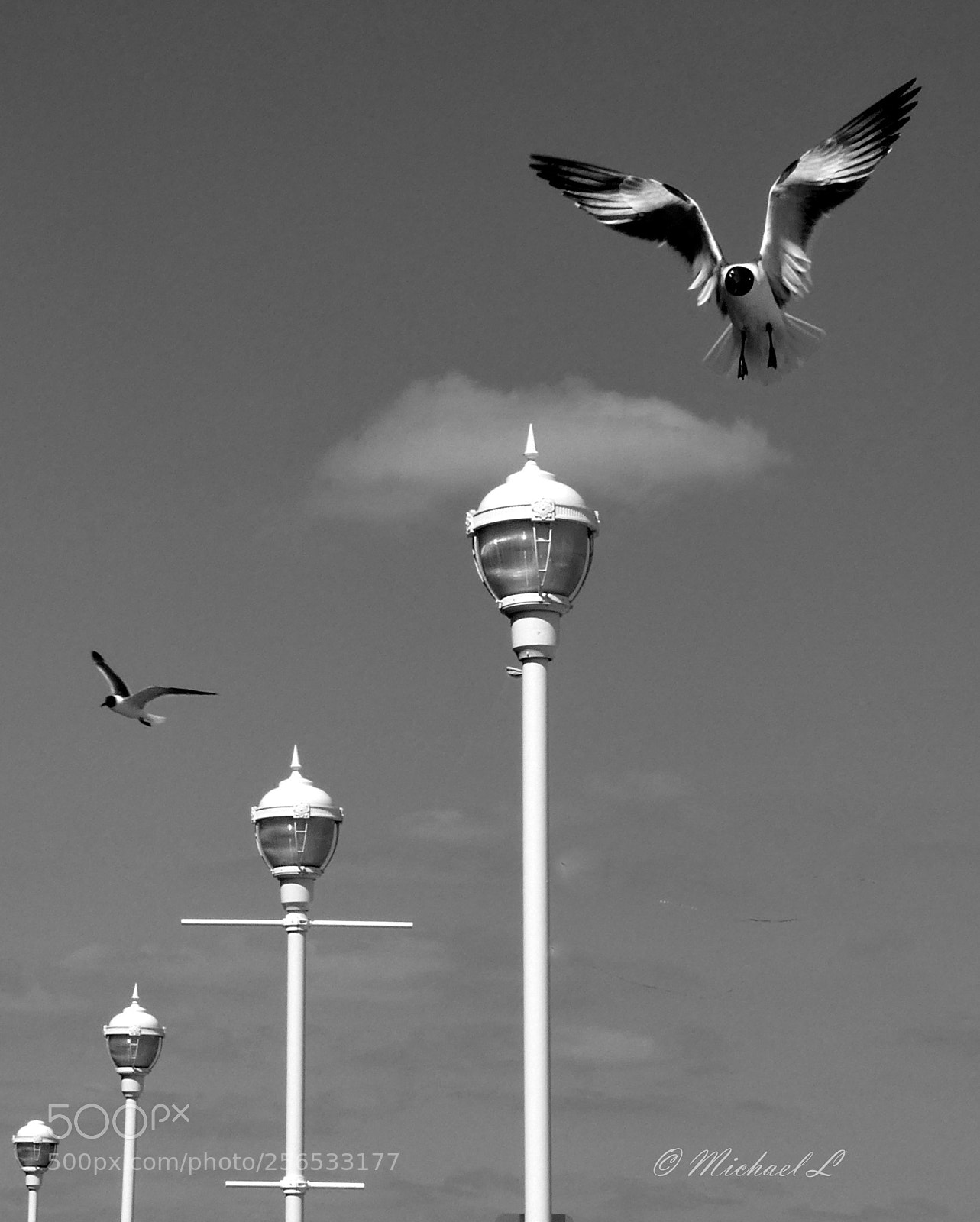 Panasonic DMC-TZ81 sample photo. Approach photography