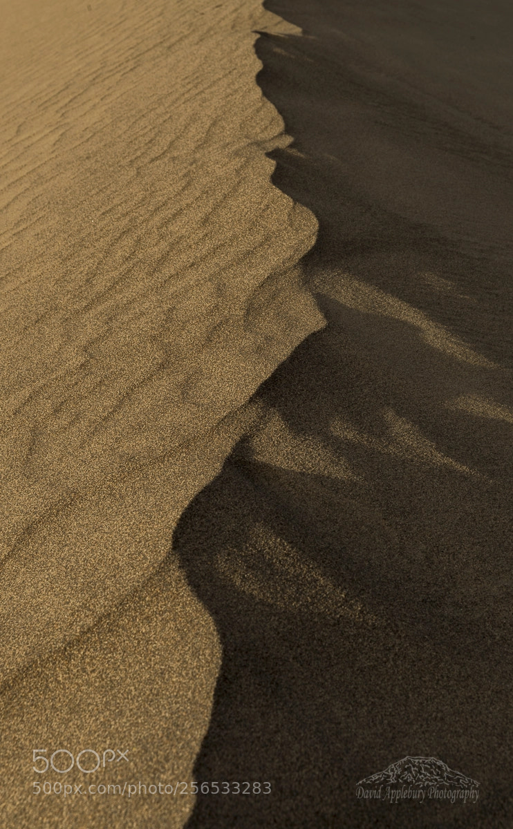 Nikon D800 sample photo. Sand crest photography