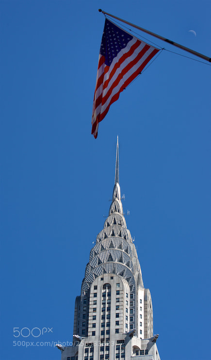 Nikon D4 sample photo. Silver on blue photography