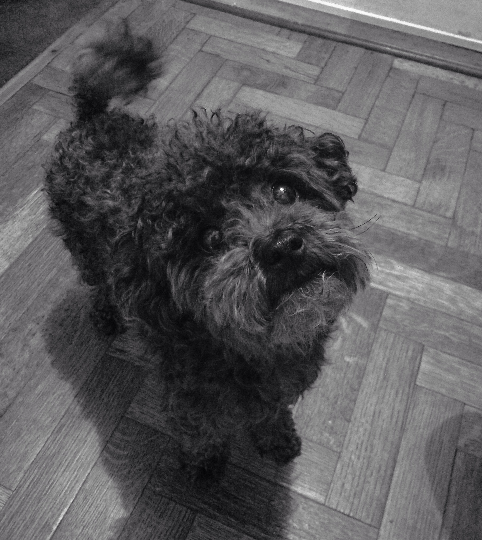 Apple iPad sample photo. Upa! photography