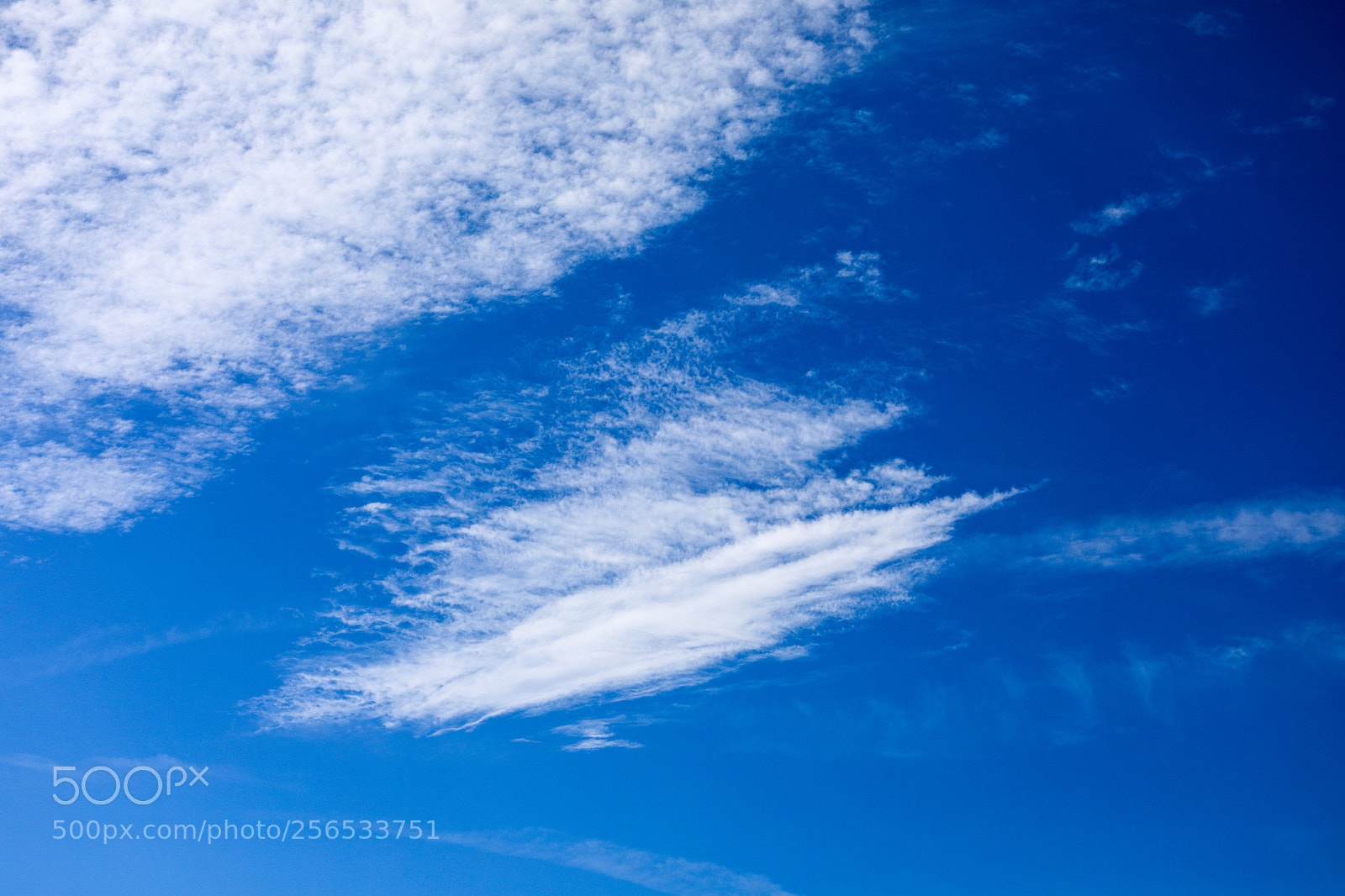 Canon EOS 5D Mark IV sample photo. Untitled photography
