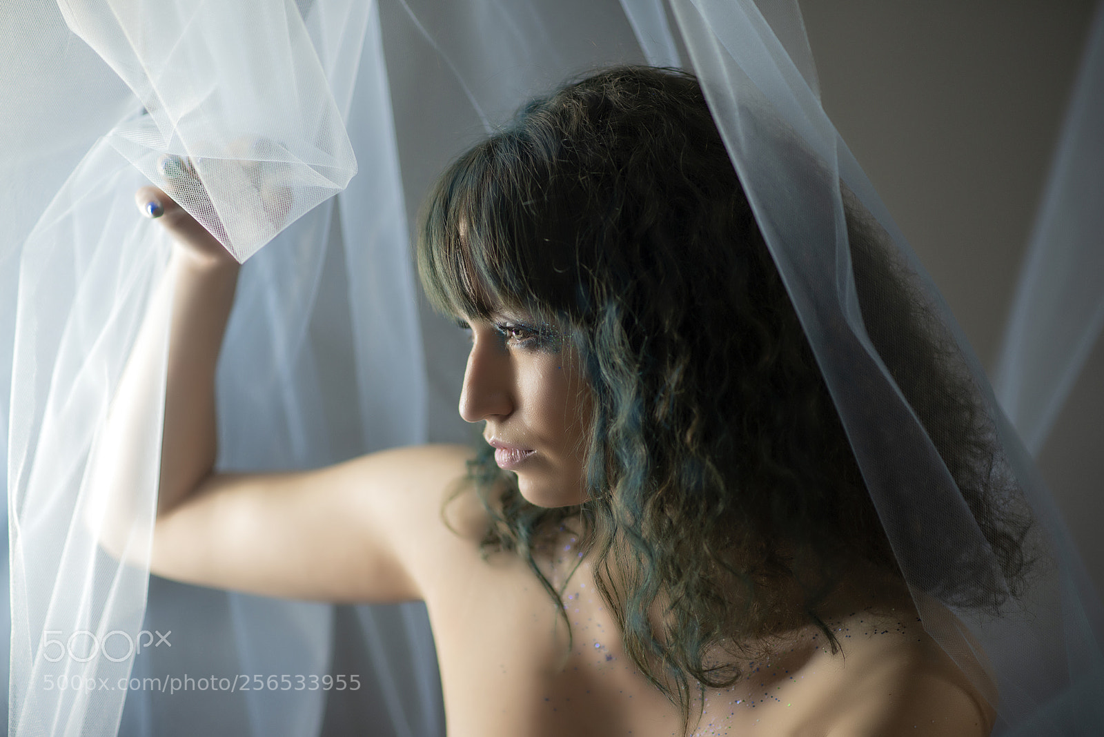 Nikon D610 sample photo. Untitled photography