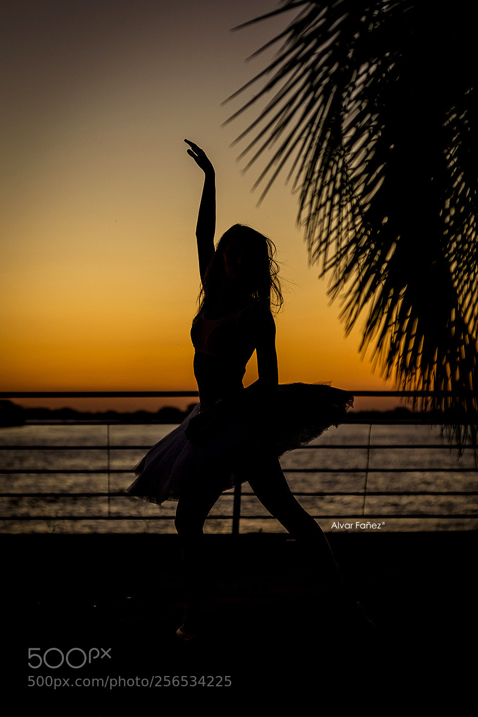Nikon D810 sample photo. Sunset cami romero photography