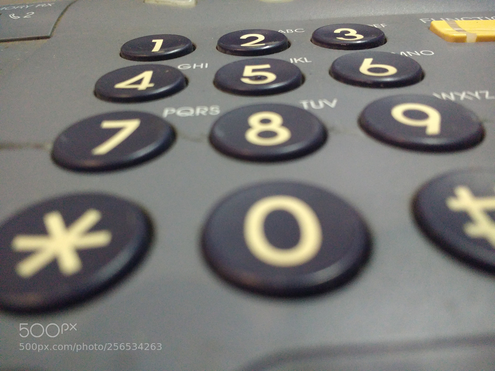 Motorola MotoG3 sample photo. Simple boton photography