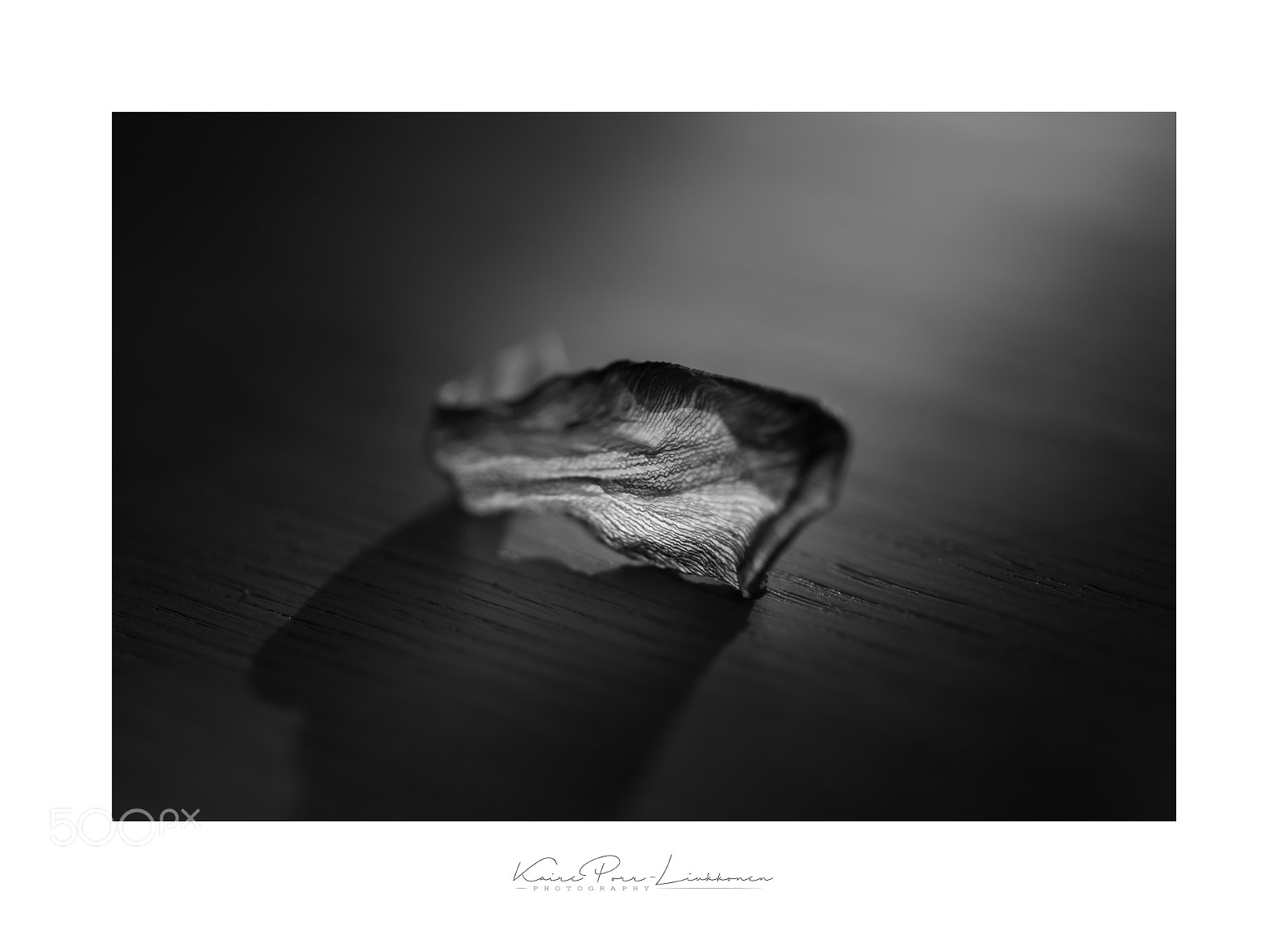 Sony SLT-A77 sample photo. Light photography