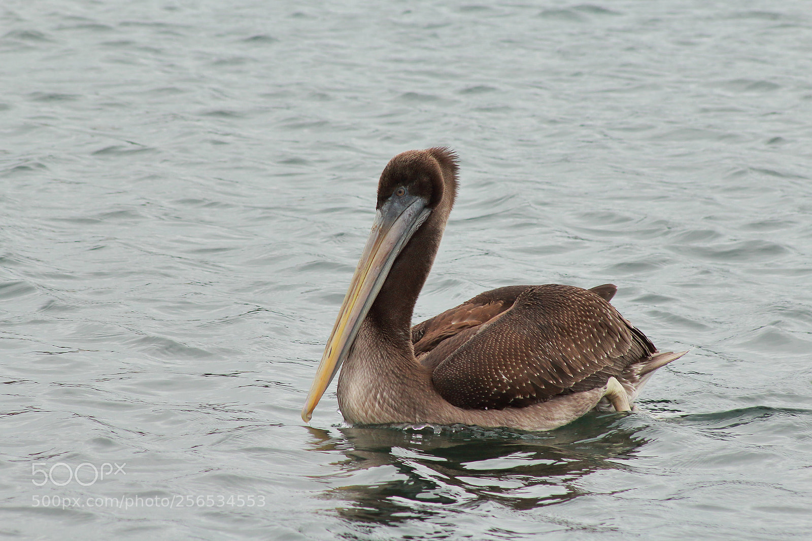 Canon EOS 1200D (EOS Rebel T5 / EOS Kiss X70 / EOS Hi) sample photo. Resting on quiet waters photography