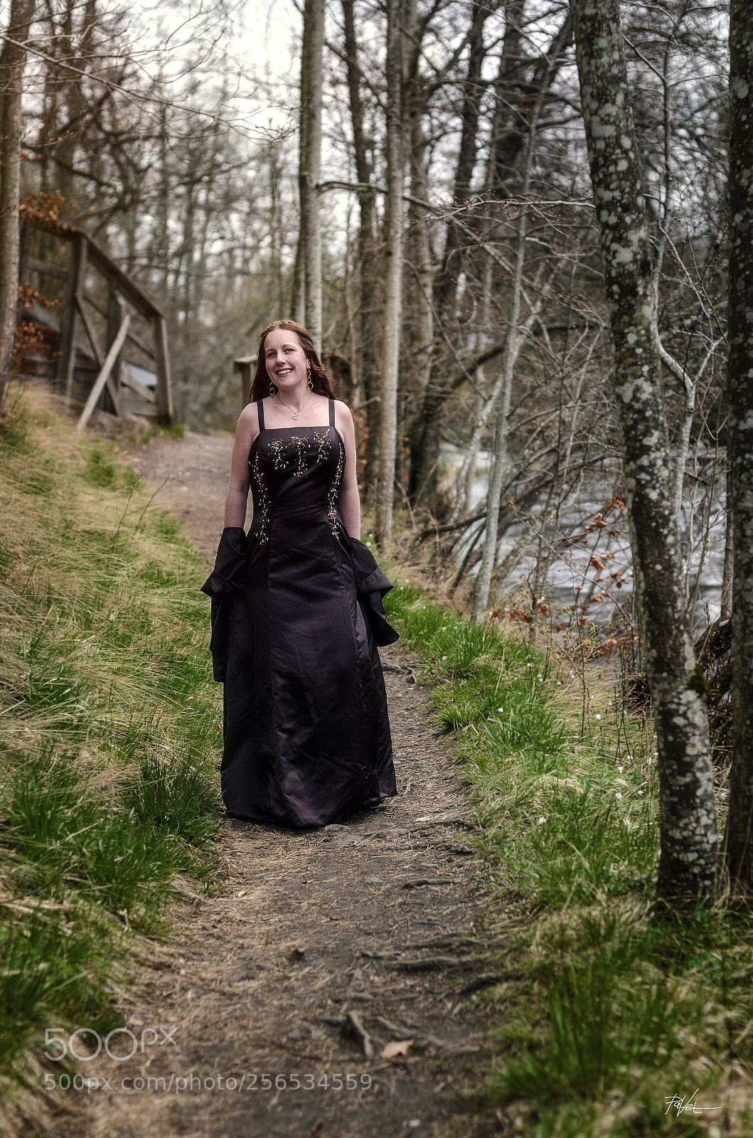 Nikon D7000 sample photo. Karlslunds woodland ii photography