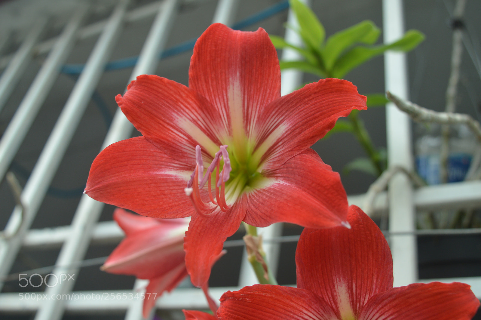 Nikon D3200 sample photo. Dsc photography