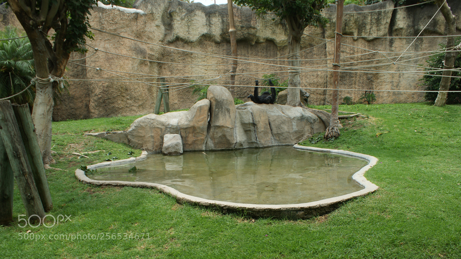 Sony DT 18-70mm F3.5-5.6 sample photo. Viven con mayor paz photography