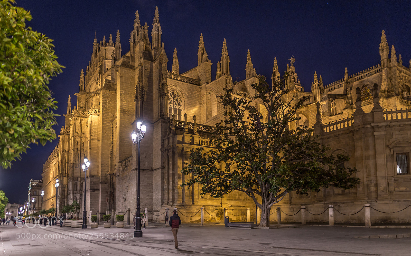 Canon EOS 6D sample photo. Sevilla⏐cathedral by night photography
