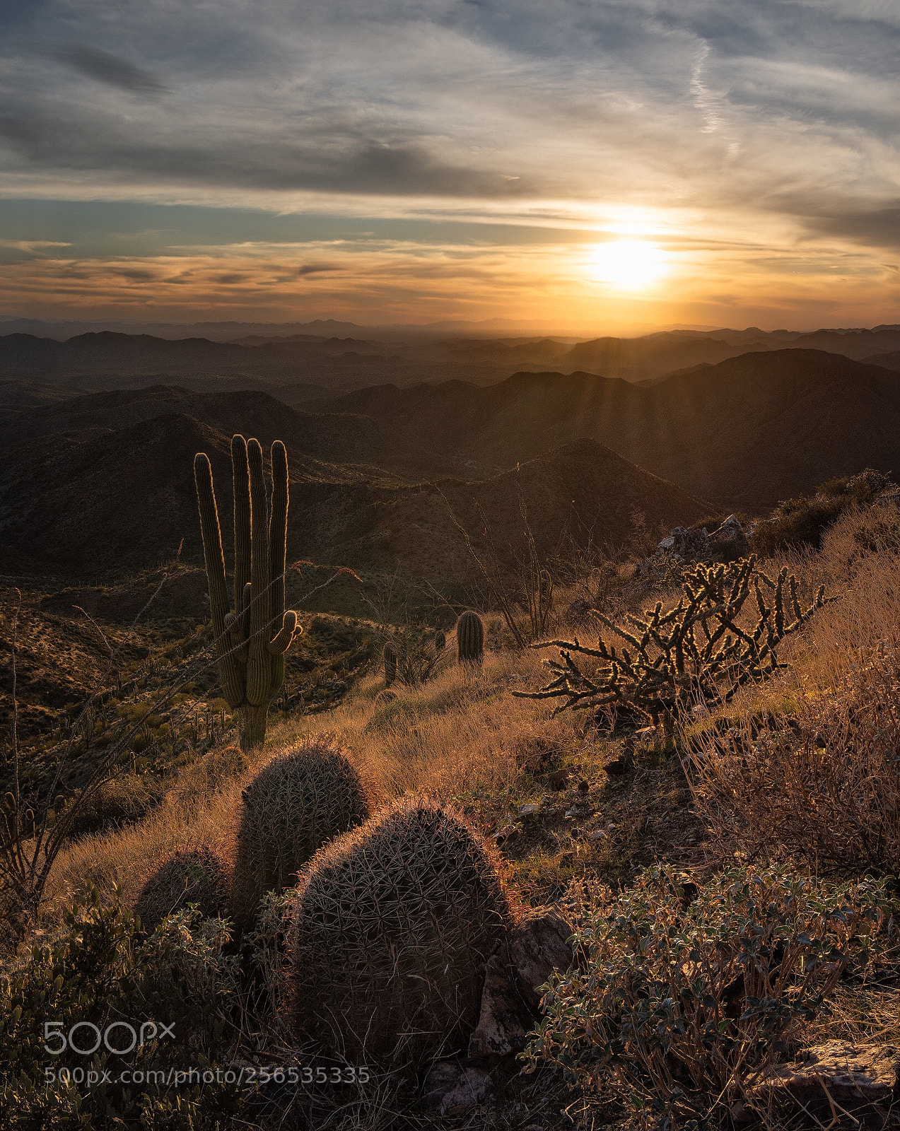 Nikon D810 sample photo. Sunset at superstition mountains  photography