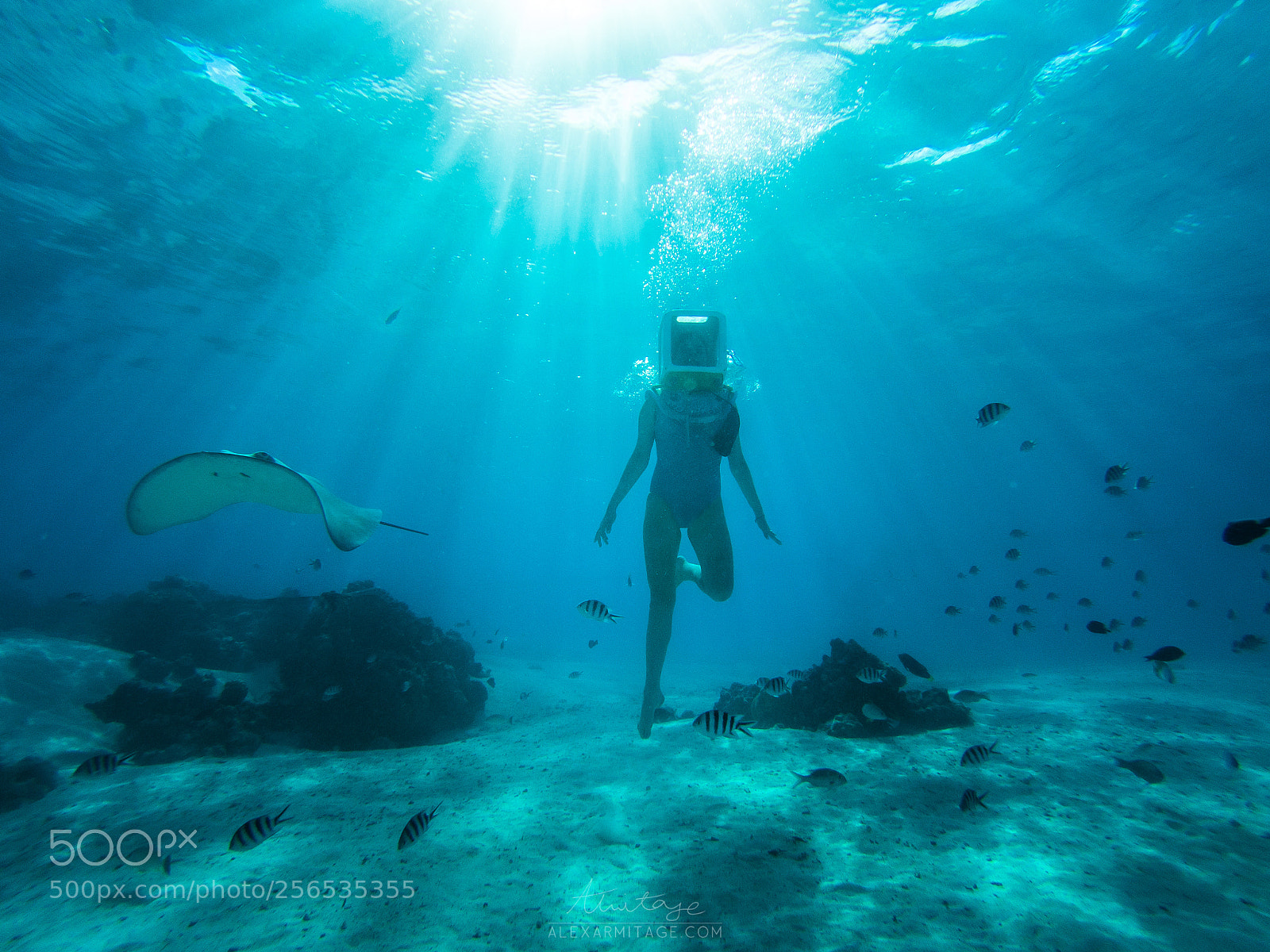 GoPro Hero5 Black sample photo. Underwater world, bora bora photography
