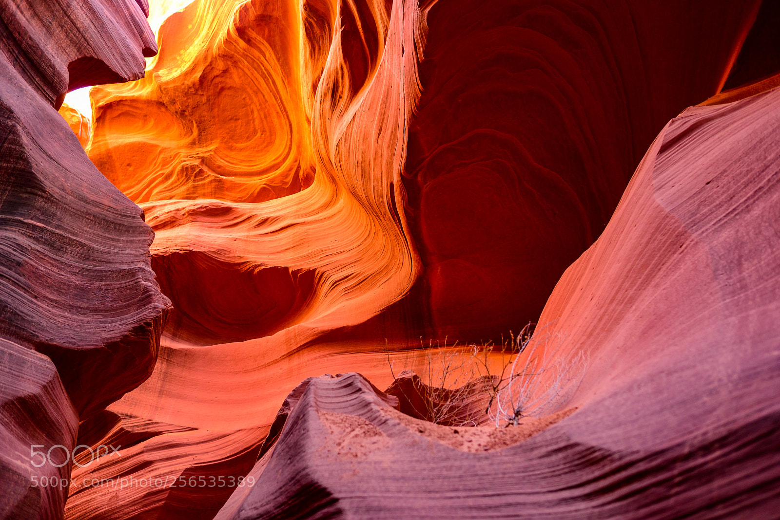 Nikon D610 sample photo. Lower antelope canyon photography