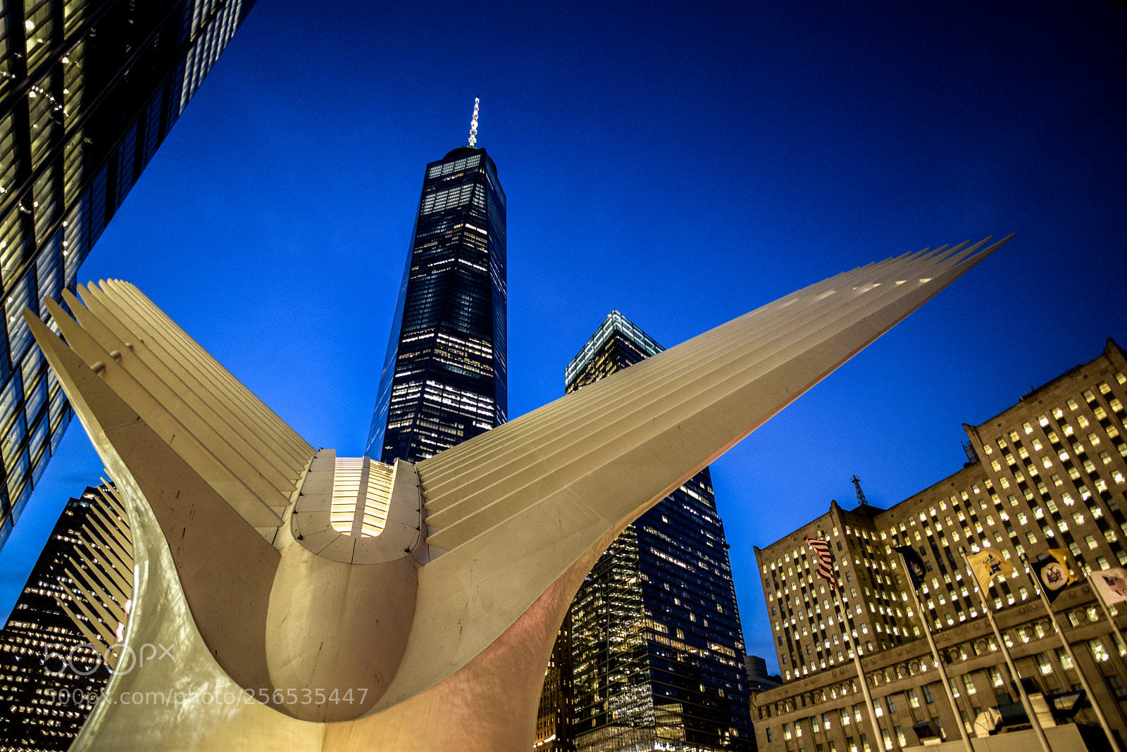 Nikon D750 sample photo. Path at wtc photography