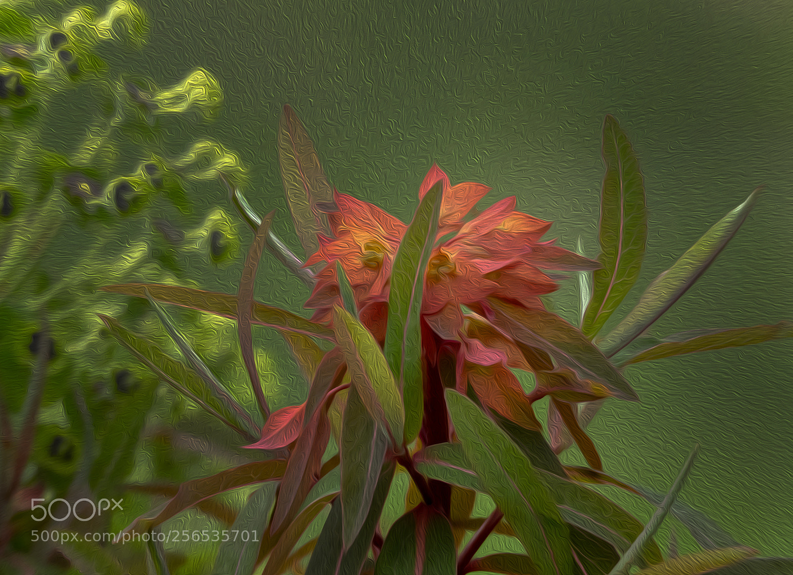 Olympus OM-D E-M1 sample photo. Textured garden art photography