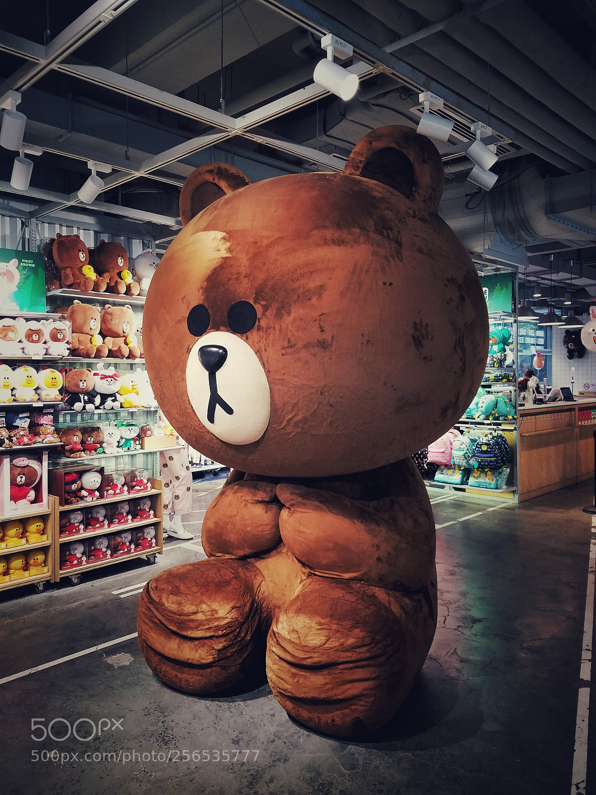 Samsung Galaxy S7 Edge sample photo. Line friend熊熊 photography