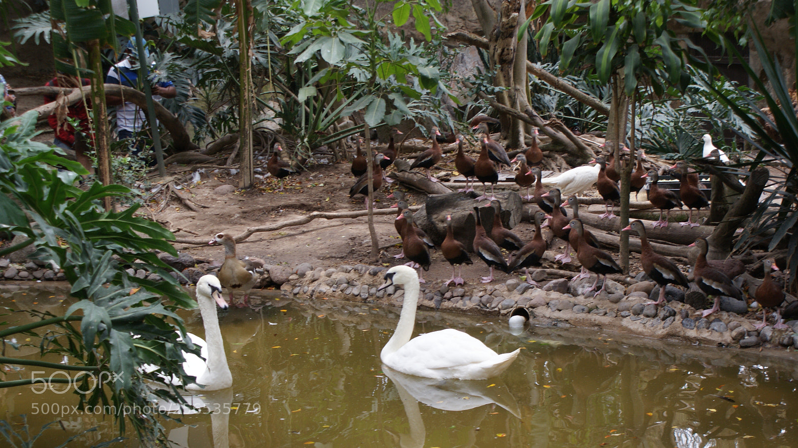 Sony DT 18-70mm F3.5-5.6 sample photo. El zoo es el photography