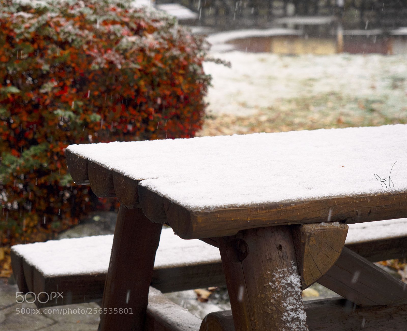 Olympus OM-D E-M1 sample photo. First snow at lake photography
