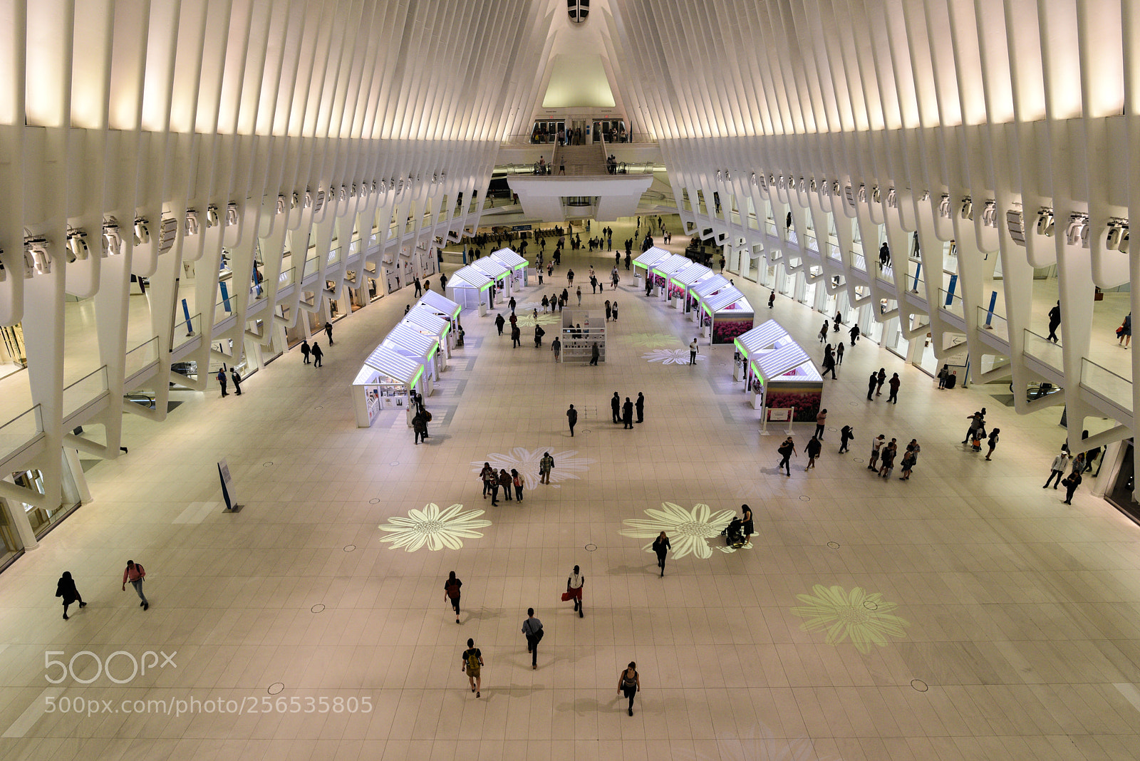 Nikon D750 sample photo. Grand photography