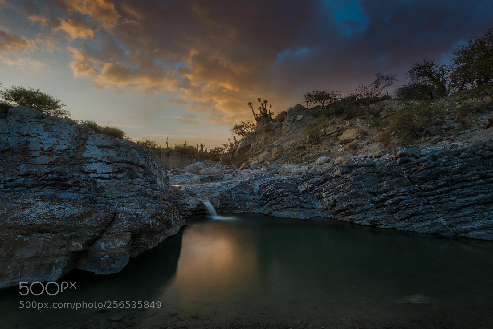 Nikon D810 sample photo. Zapotitlan river sunset, puebla photography