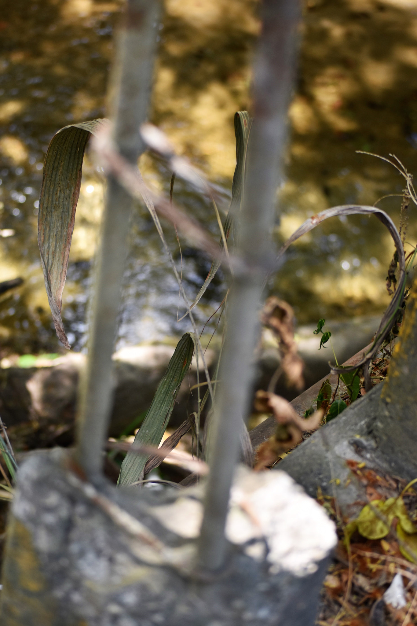 Nikon D3400 sample photo. Bridge photography