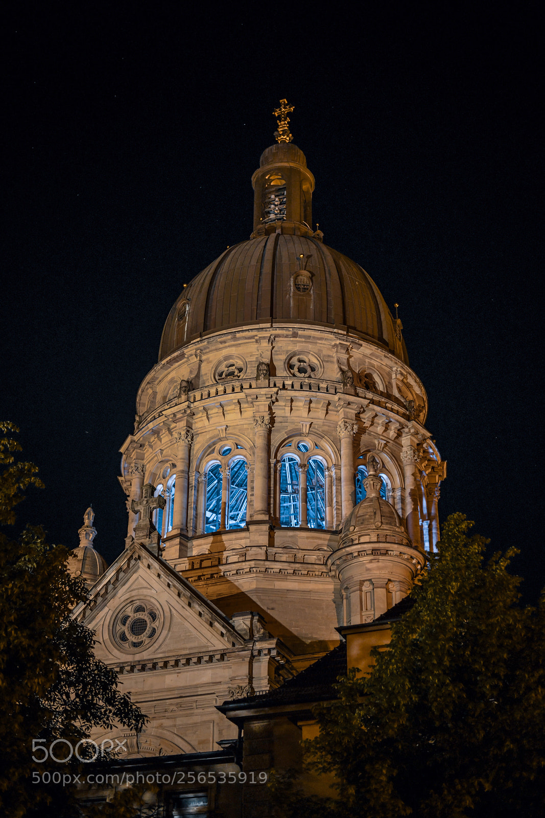 Nikon D850 sample photo. Untitled photography