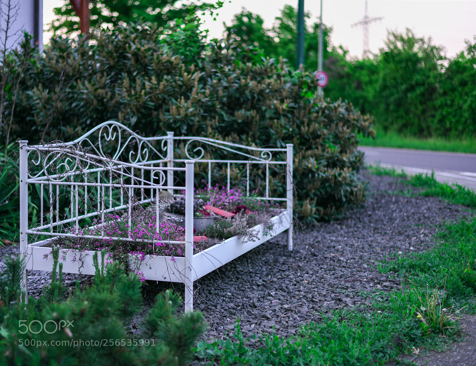 Nikon D850 sample photo. Untitled photography