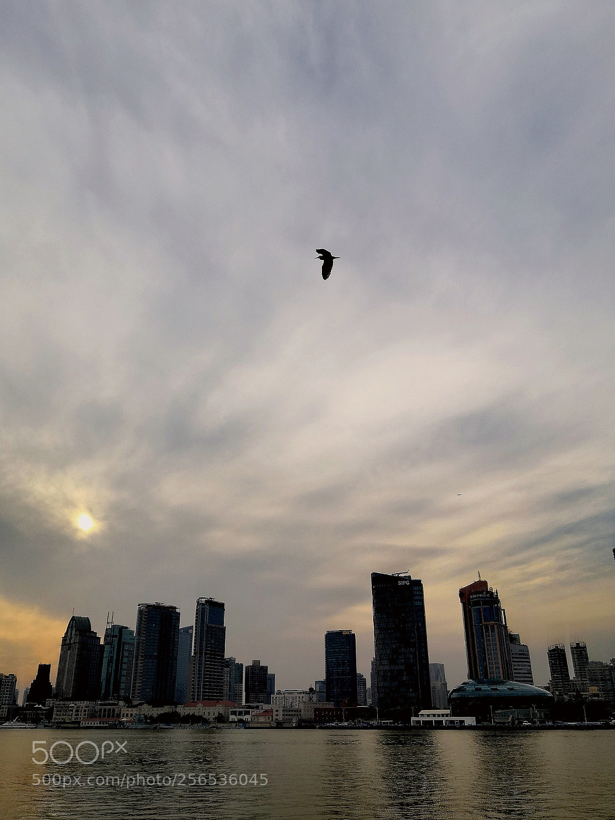 HUAWEI Honor 10 sample photo. Untitled photography
