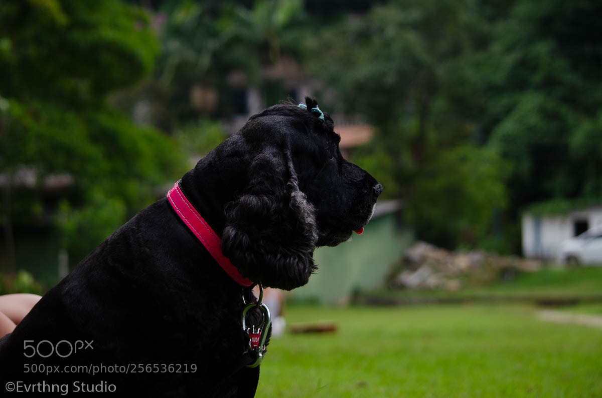 Nikon D5100 sample photo. Duda photography