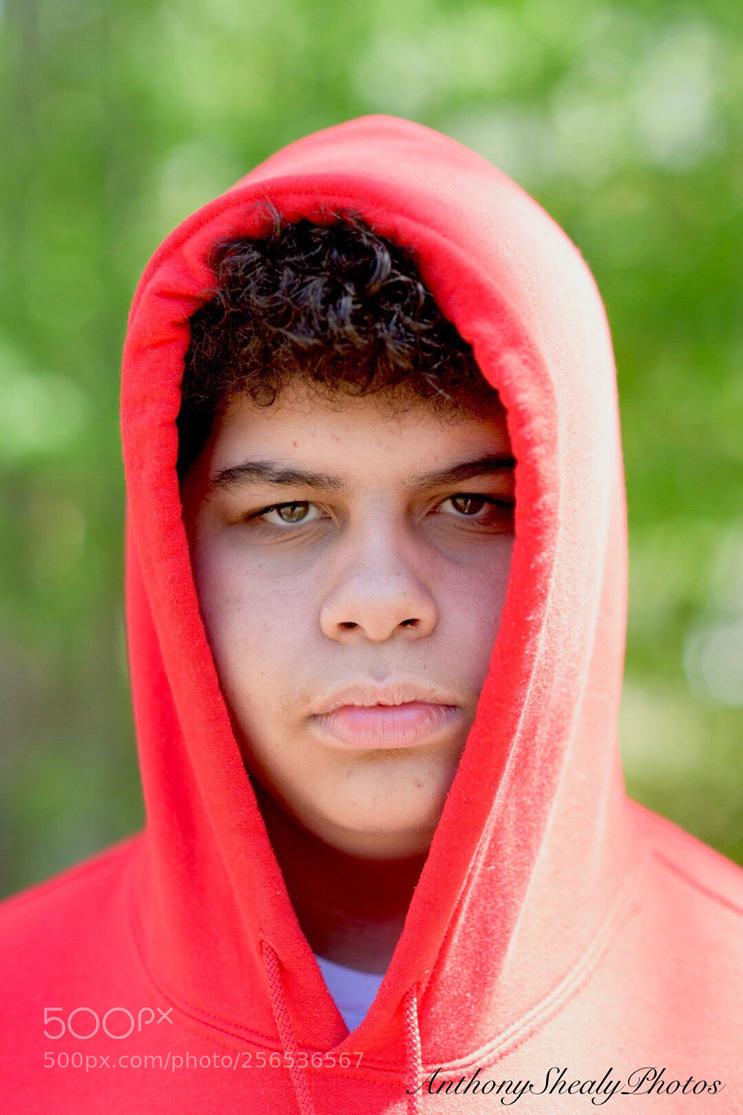 Nikon D750 sample photo. Red hoodie photography