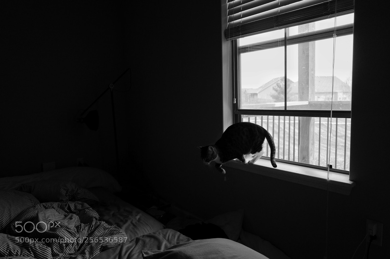 Leica Q (Typ 116) sample photo. Escape photography