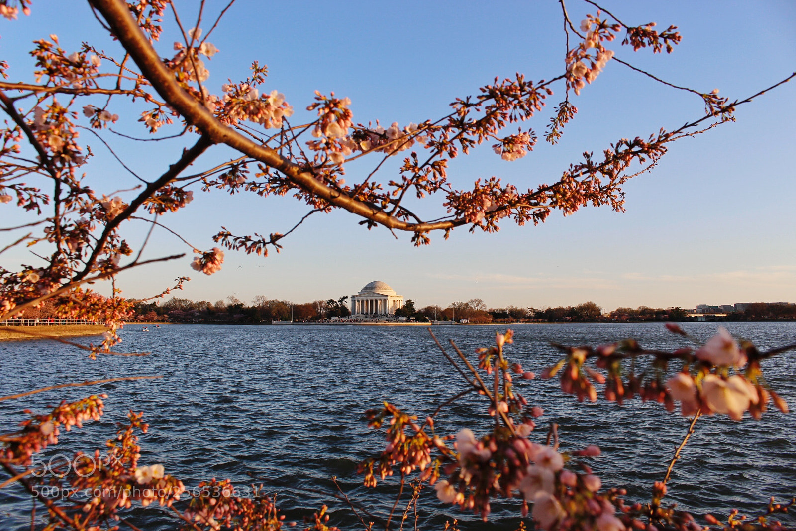 Canon EOS 700D (EOS Rebel T5i / EOS Kiss X7i) sample photo. Springtime sunrise photography