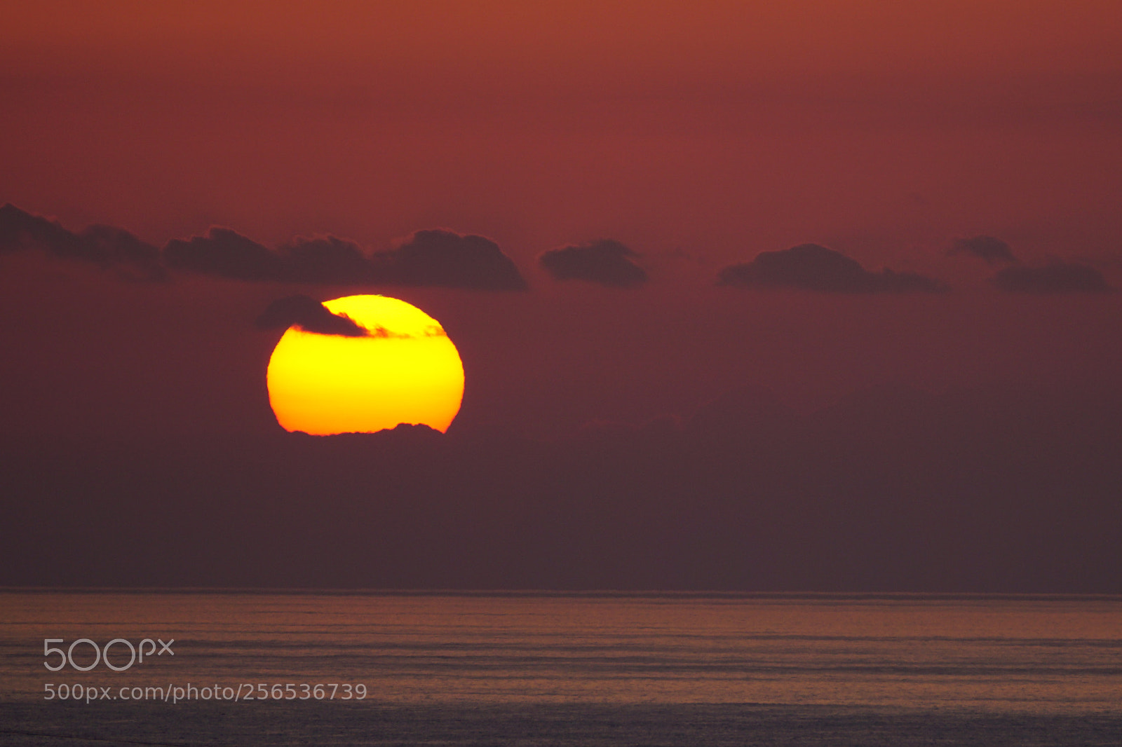 Sony ILCA-77M2 sample photo. Fiery sun arise! photography