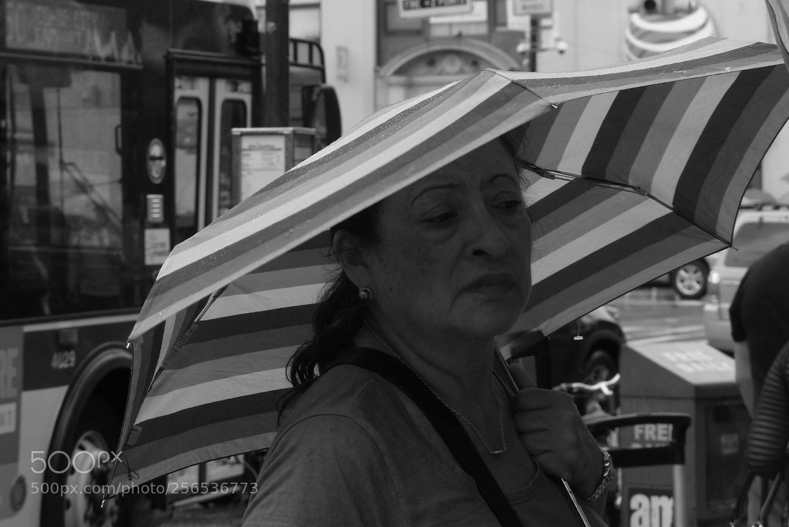 Panasonic Lumix DMC-FZ200 sample photo. Flushing bw photography