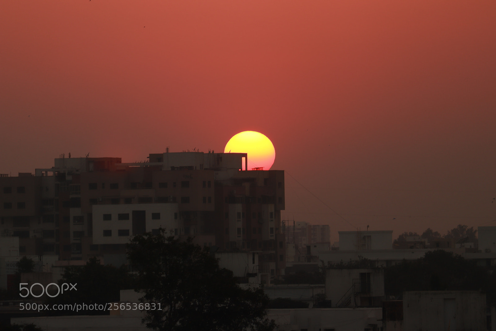 Canon EOS 200D (EOS Rebel SL2 / EOS Kiss X9) sample photo. Sunset ...taking rest to photography