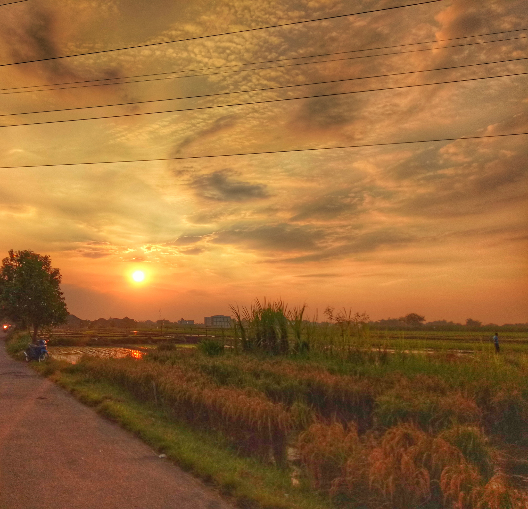 OPPO A1601 sample photo